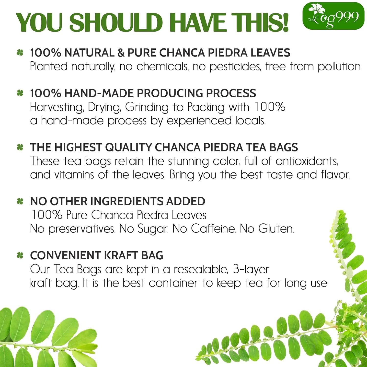 Dried Chanca Piedra Leaves, Chanca Piedra Tea “Stone Breaker” Tea Bags - Image 3