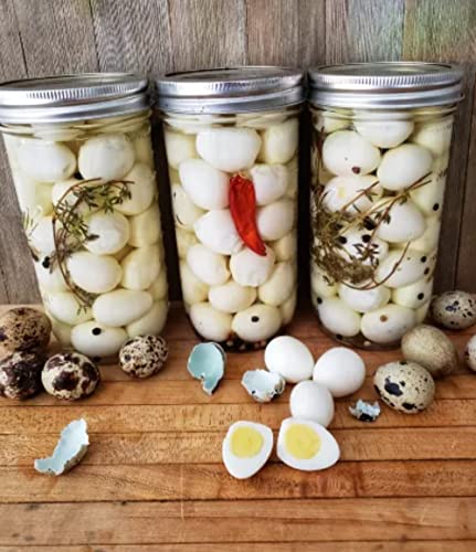 FARM FRESH Quail Eggs *Laid in the U.S.* Hormone Free; Non-GMO - (12+ Ct) - Image 2