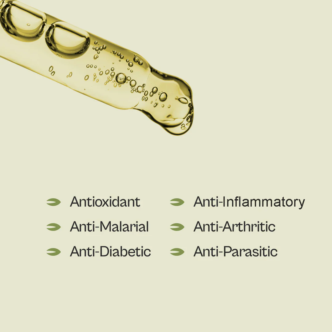 Graviola Leaf Tincture - Image 3