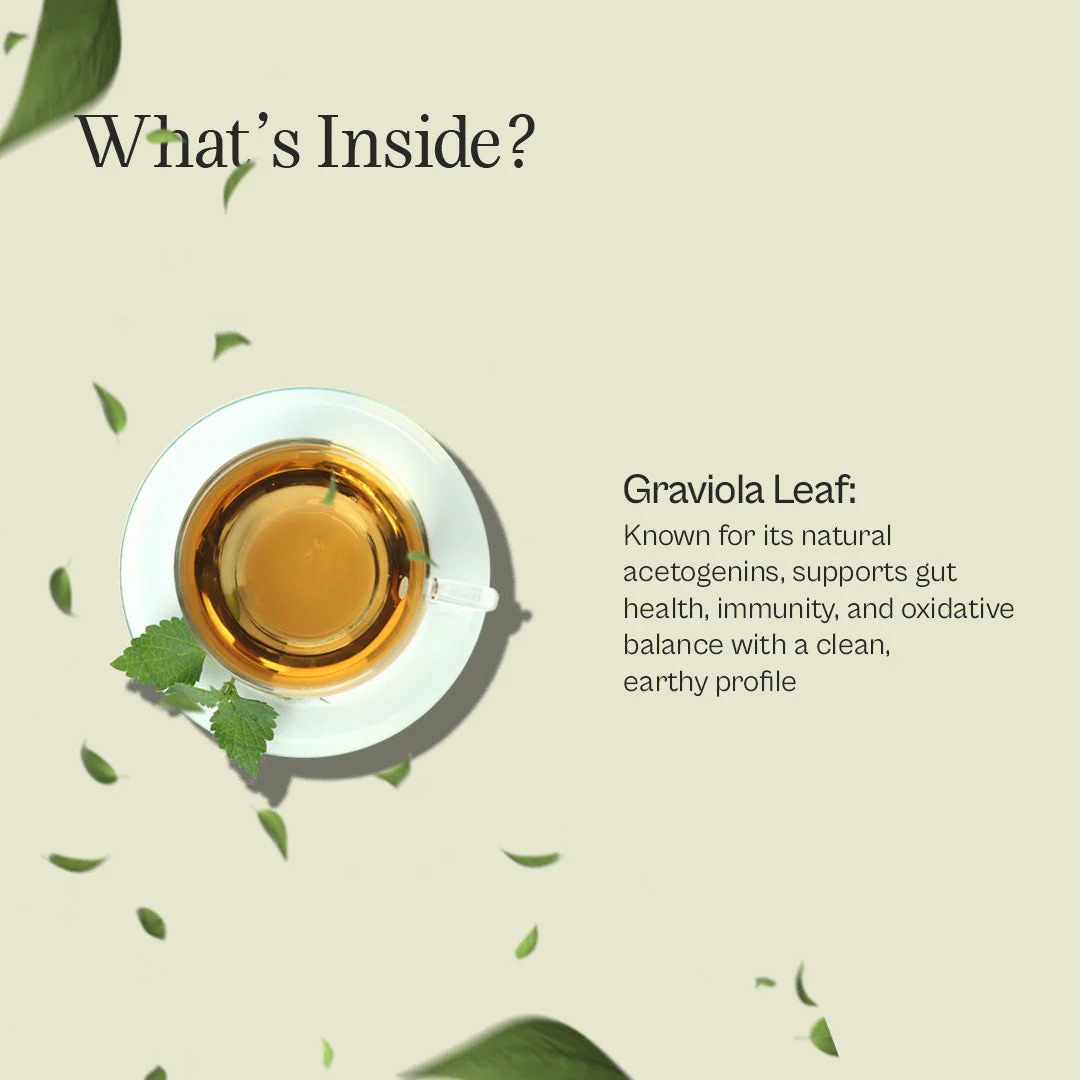 Graviola Loose Leaf Tea - Image 3
