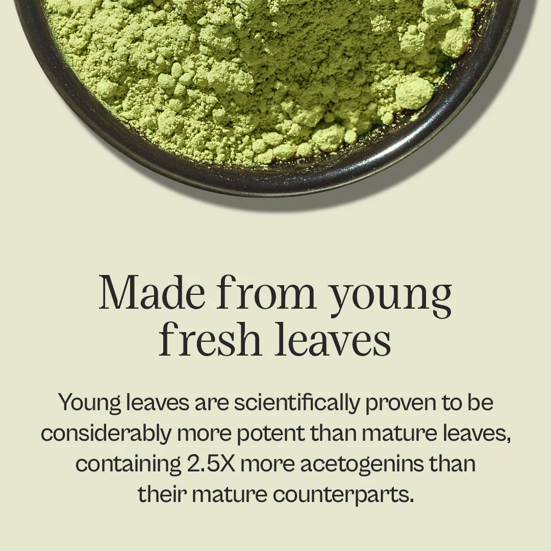 Graviola + Shilajit Supplement - Image 5