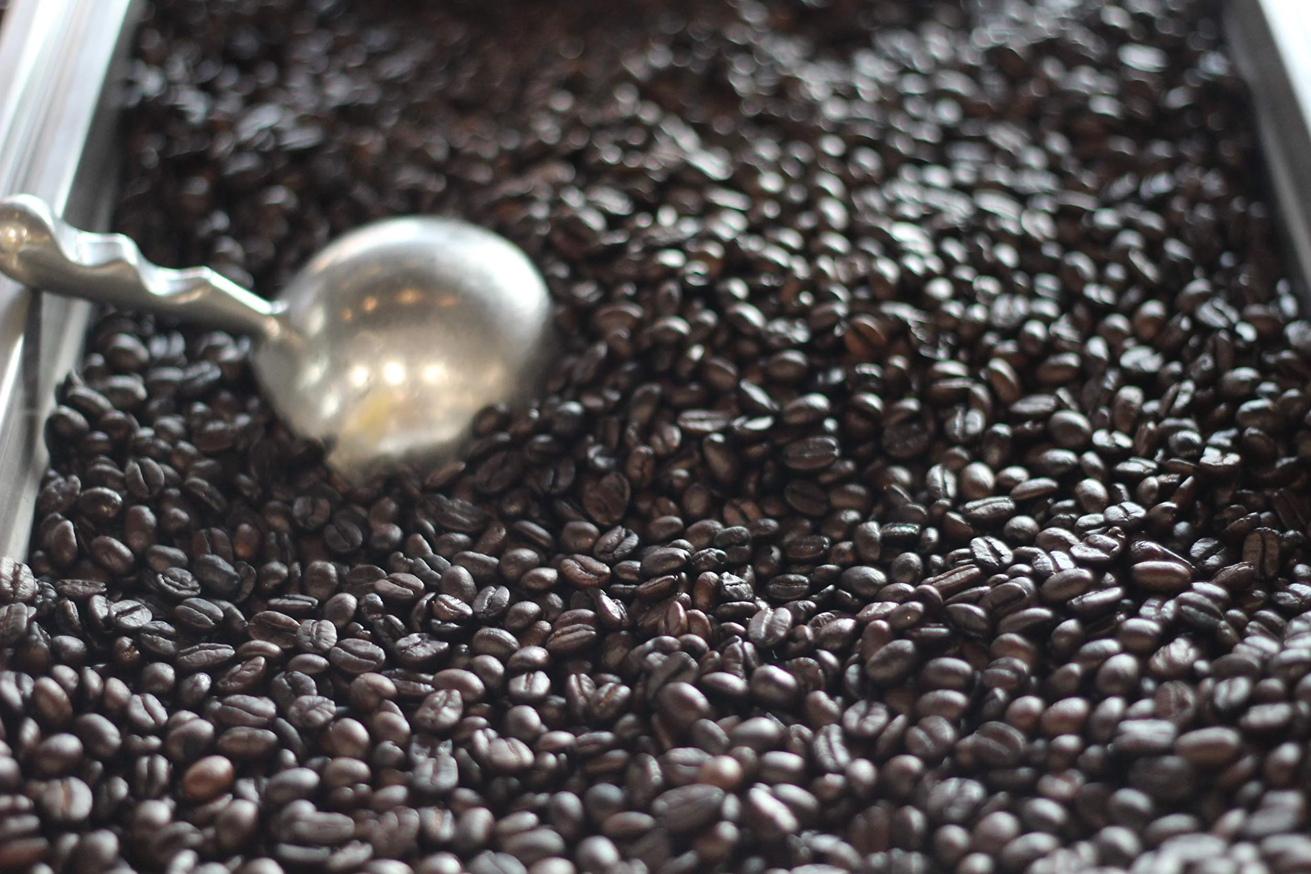 Lee's Coffee Exclusive Whole Bean Coffee, French Roast, 12 Ounce - Image 5