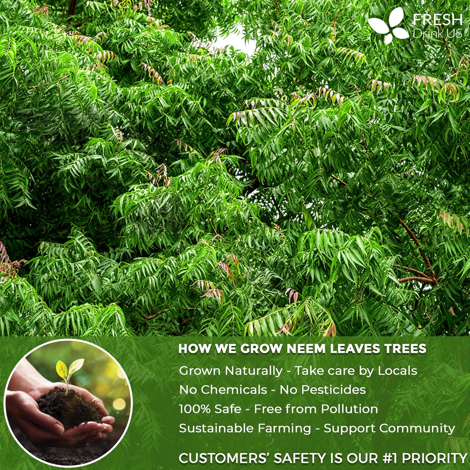 Neem Leaf Tea Bags, 100% Natural and Pure from Neem Leaves. Loose Leaf Neem Herbal Tea. Neem Leaf Tea. No Sugar, No Caffeine, No Gluten, Vegan. - Image 5
