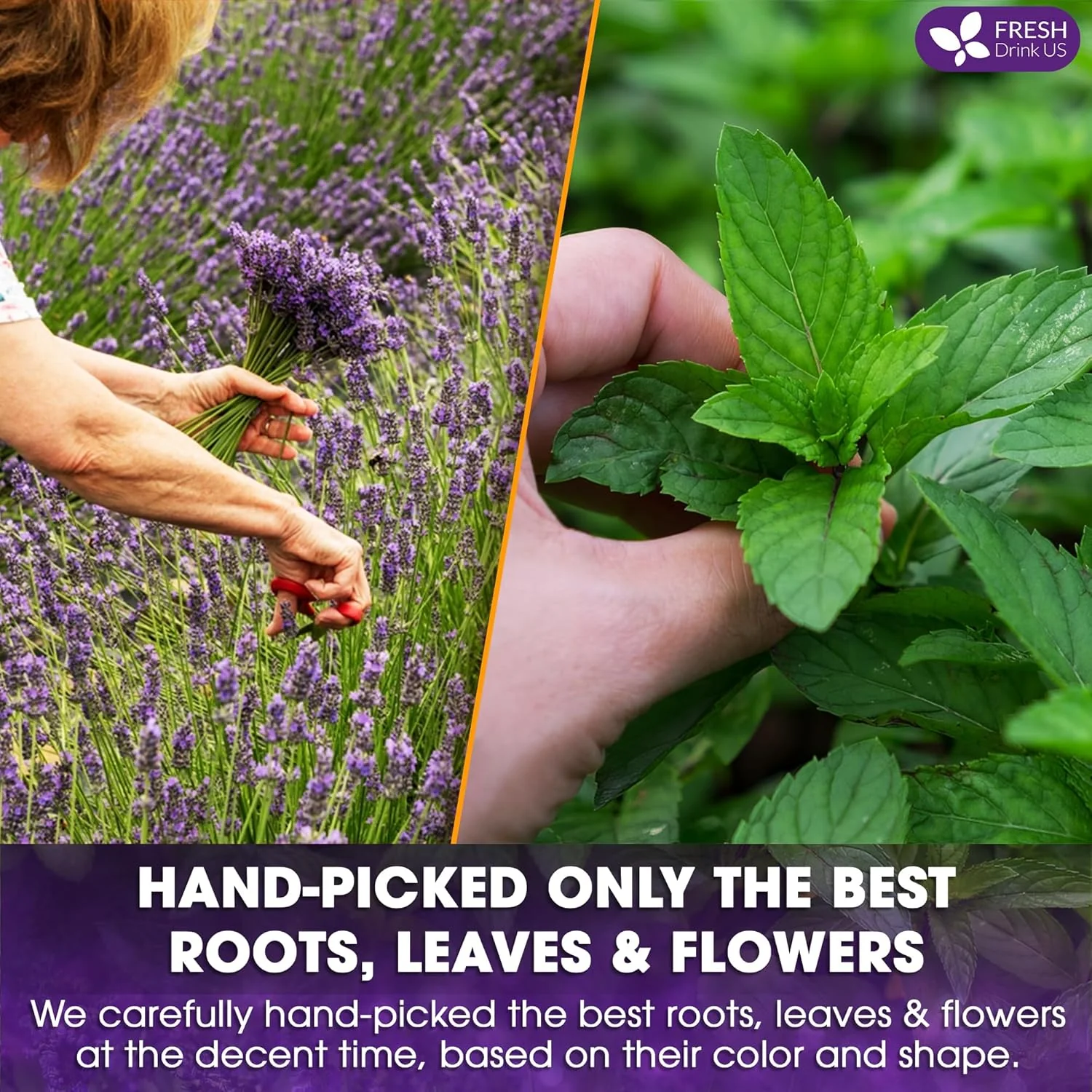 Premium Lavender Mint Tea Bags. 100% Natural, Blend of Lavender, Peppermint, Sage and Licorice. - Image 6