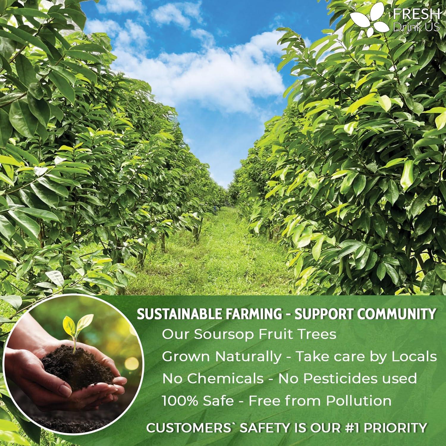 Premium Soursop Graviola Fruit Tea Bags, Tea Powder, 100% Natural and Pure from Soursop Fruits, Handmade, Made With Natural Materials-Corn Fiber Tea Bag, Sugar/Caffeine/Gluten Free, Hoja Guanabana Tea - Image 7