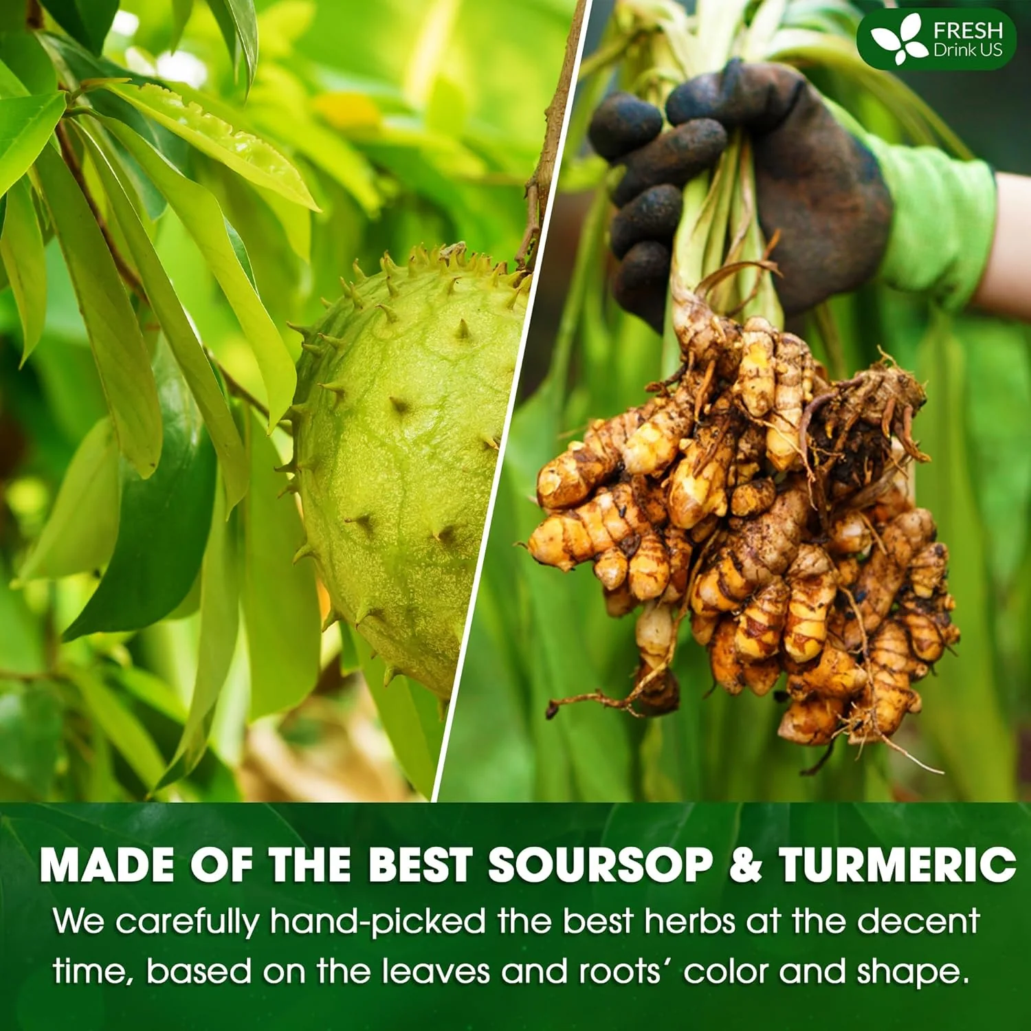 Premium Soursop Turmeric Tea Bags | Blend of Soursop Leaves, and Turmeric Root - Image 6