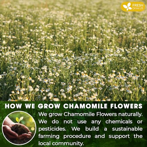 Smooth Sleep & Digest Duo, Chamomile Flower & Fennel Seed Herbal Tea Bags, 100% Natural & Pure Flowers and Seeds, Eco-Conscious & Biodegradable Tea Bags, No Sugar, No Caffeine, No Gluten, Vegan β Herbal Beverage - Image 5